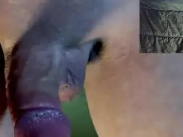 Chaturbate Free Live Porn of wetjuicycock702