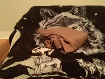 Chaturbate Nude Webcam of dizzyfaced