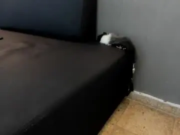 Chaturbate Sex Cam of kenny_hank