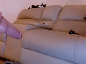 Chaturbate Live Sex Cam of ohmysweetkitty