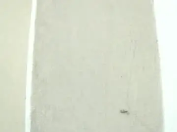 Chaturbate Private Sex Chat of birbikrom104
