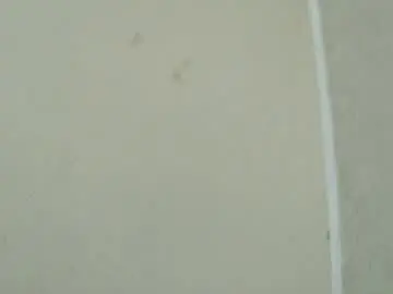Chaturbate Adult Webcam of birbikrom104