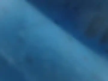 Chaturbate Adult Video Chat of xdonvictor