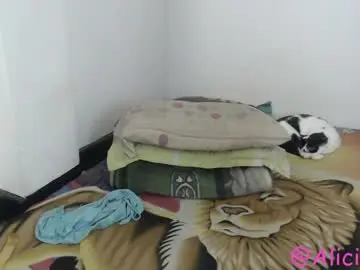 Chaturbate Adult Webcam of alice_psilocybe_sabina420