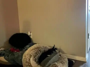 Chaturbate Live Sex of hottiewithabody101