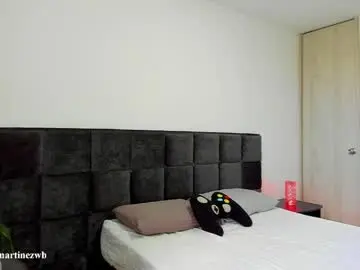 Chaturbate Adult Webcam of alexander_martines