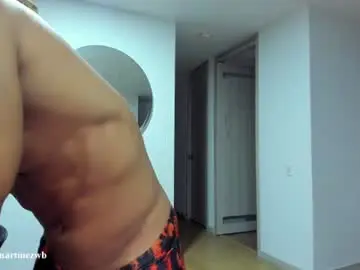 Chaturbate Nude Webcam of alexander_martines