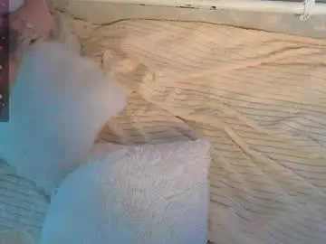 Chaturbate Free Porn Cam of mirida_fox