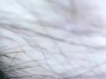 Chaturbate Sex Cam of rj8090