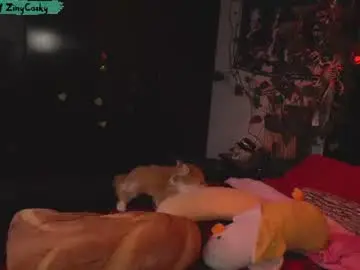 Chaturbate Free Live Porn of ziny_cosky