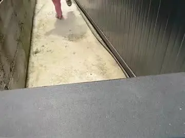 Chaturbate Sex Chat of nyconik