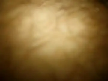 Chaturbate Live Sex Cam of horsecock9748