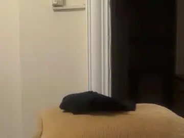 Chaturbate Live Sex of alphandre