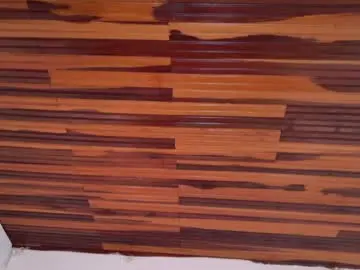 Chaturbate Nude Webcam of katia_moree