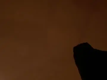 Chaturbate Free Porn Cam of katia_moree