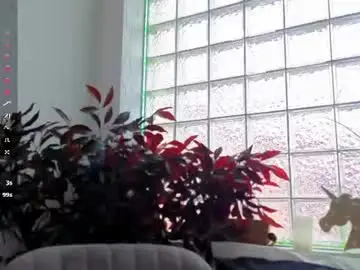 Chaturbate Live Sex of sassyt33n