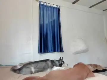 Chaturbate Live Porn of sexnherbs