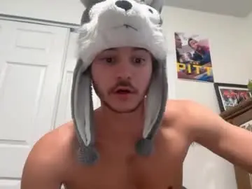 Chaturbate Free Porn Cam of na_an534