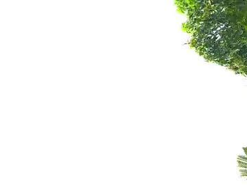 Chaturbate Adult Video Chat of myliss