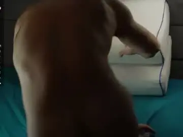 Chaturbate Sex Chat of karlos_murphy