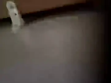Chaturbate Watch Live Sex Cams of moos1