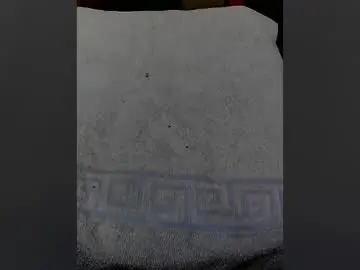 Chaturbate Sex Cam of moos1