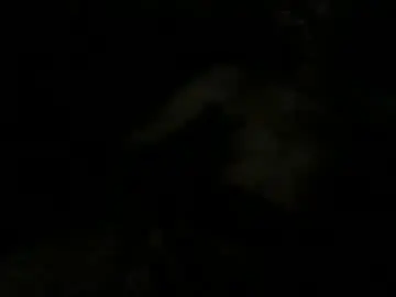 Chaturbate Sex Chat of fffjj021