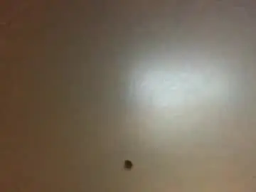 Chaturbate Watch Live Sex Cams of hardforyou3030