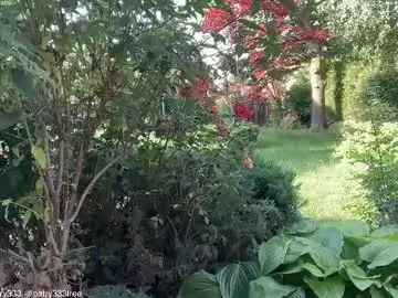 Chaturbate Free Porn Cam of patry333