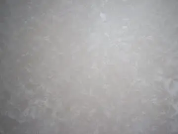 Chaturbate Best Webcam of hildegardescore