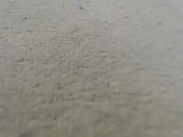 Chaturbate Free Live Porn of sanchezerik4