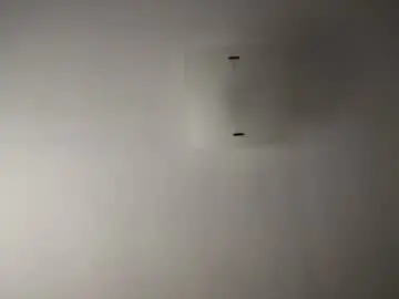 Chaturbate Watch Live Sex Cams of witebull83