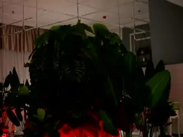 Chaturbate Sex Chat of avareed
