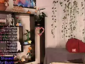 Chaturbate Sex Chat of novaharper