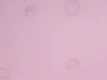 Chaturbate Sex Cam of kami_kaze_