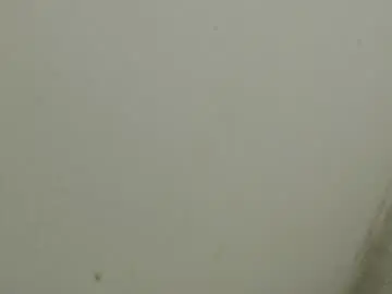Chaturbate Sex Cam of raycatt