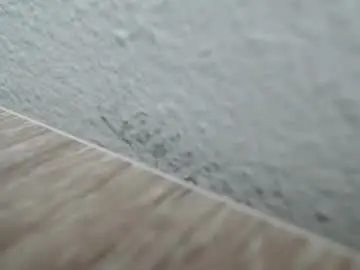 Chaturbate Live Porn of mileisex