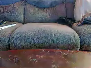 Chaturbate Best Webcam of copper_crotch