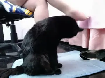Chaturbate Free Porn Cam of sasha_start