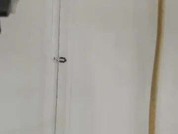 Chaturbate Free Live Porn of alan__brook