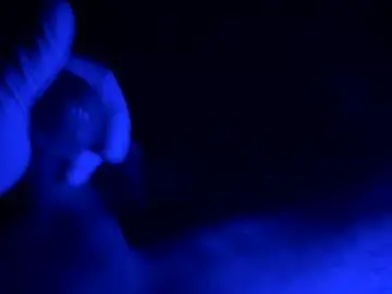 Chaturbate Sex Cam of ludeguy