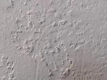 Chaturbate Best live sex cam show of neboner9