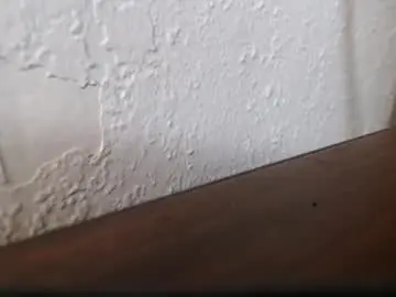 Chaturbate Adult Webcam of neboner9