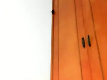 Chaturbate Free Porn Cam of halle_1