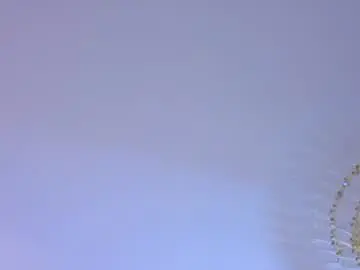Chaturbate Best Webcam of miless_cooper