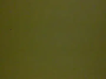 Chaturbate Best live sex cam show of bonershow