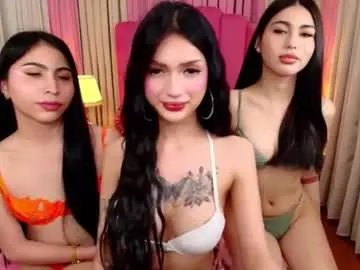 Chaturbate Free Live Porn of danicamiller