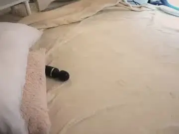 Chaturbate Live Sex Cam of pazrapacki
