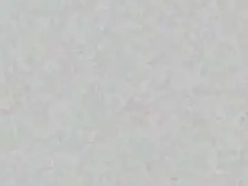 Chaturbate Adult Webcam of yellowsnakes