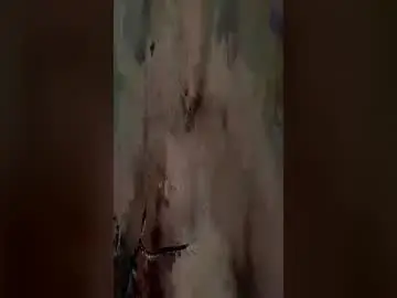 Chaturbate Private Sex Chat of tattedhubb
